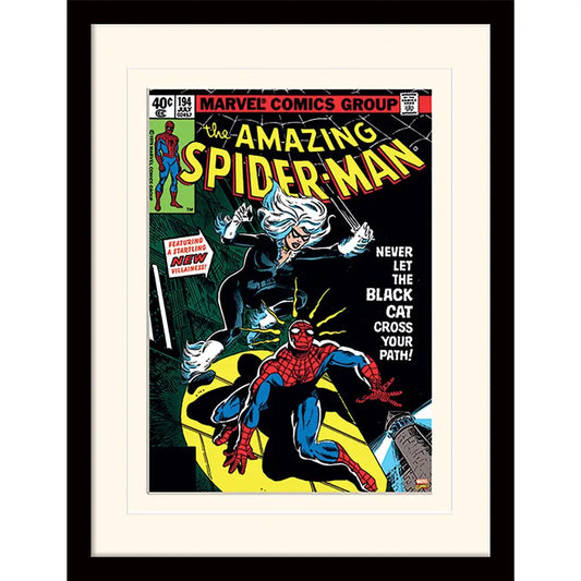 Marvel Comics Spiderman (Black Cat) Wall Art Print